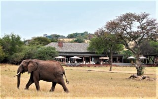 Singita Serengeti House [320x200]